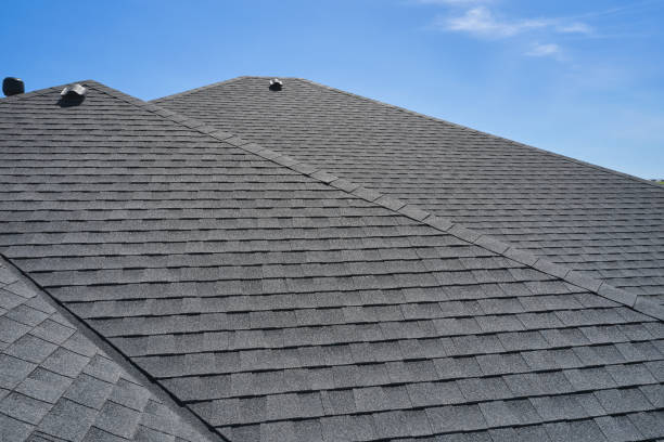 Best Roof Coating and Sealing  in Linden, MI
