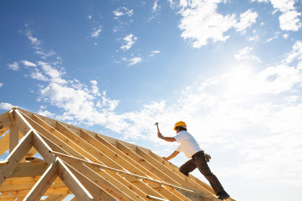 Best Roof Moss and Algae Removal  in Linden, MI